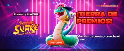 Apuestas Deportivas Peggbet