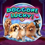 Doggone LuckyCQ9 game thumbnail